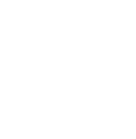 Instituto CIEC Logo Footer